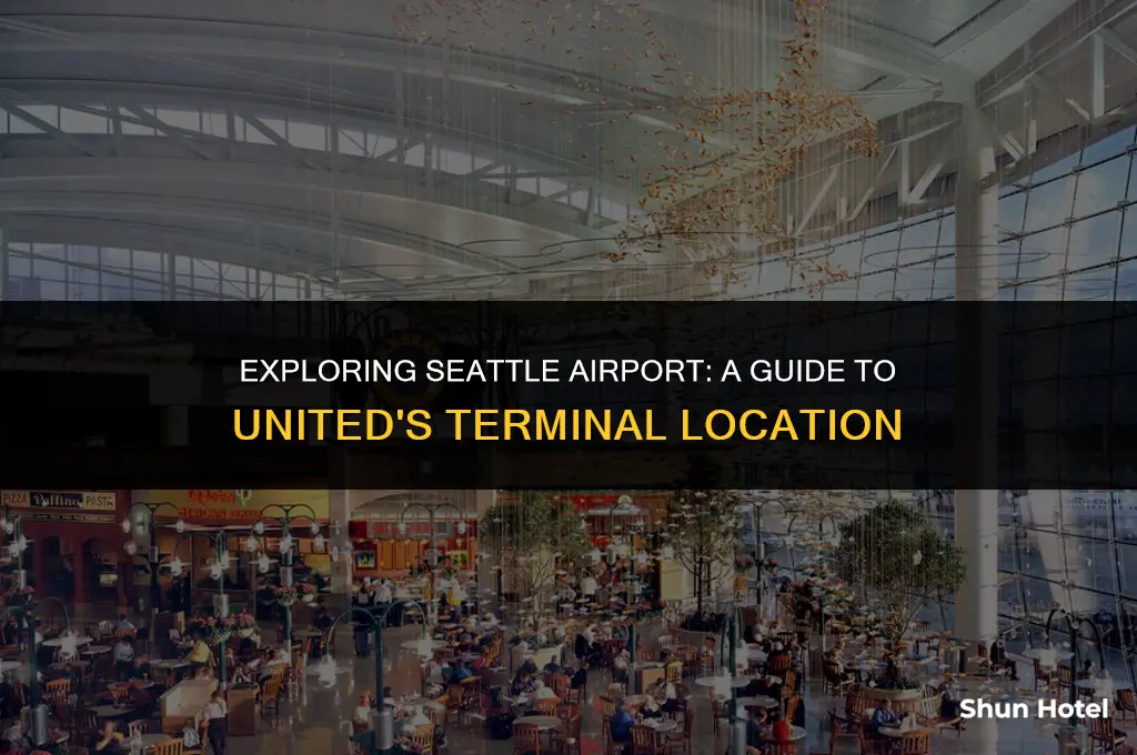what terminal is united at seattle airport