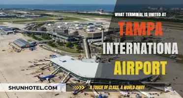United Airlines Terminal Guide: Navigating Tampa International Airport Easily