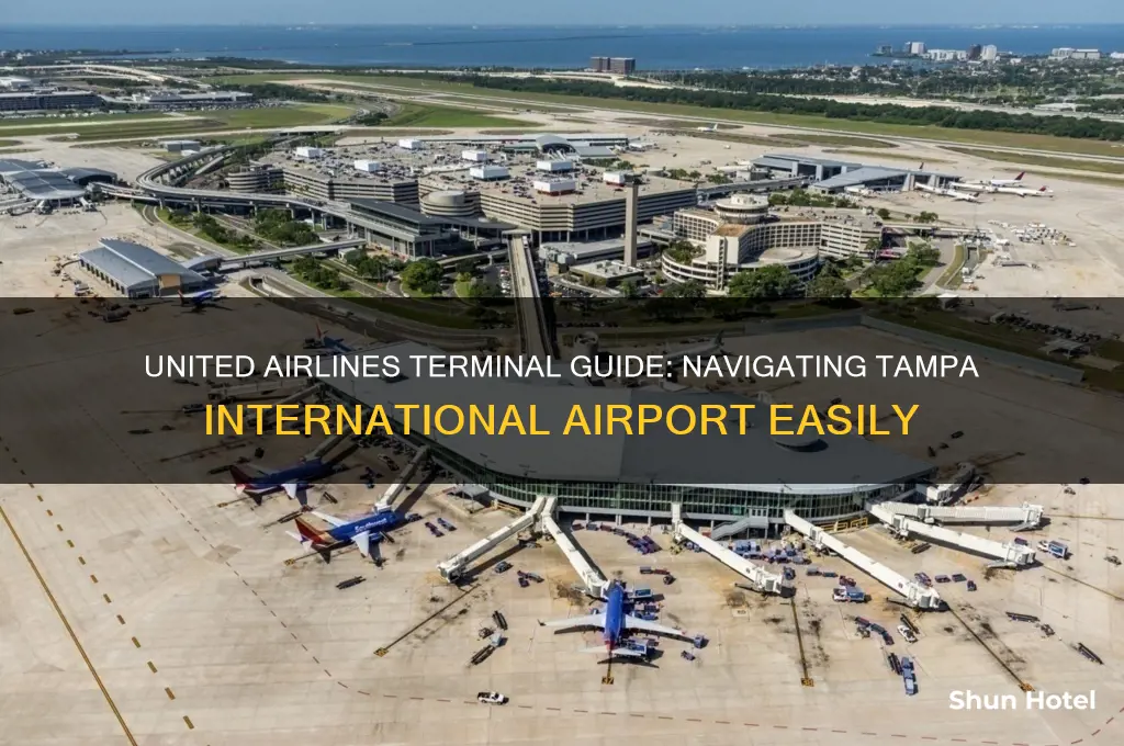 what terminal is united at tampa international airport
