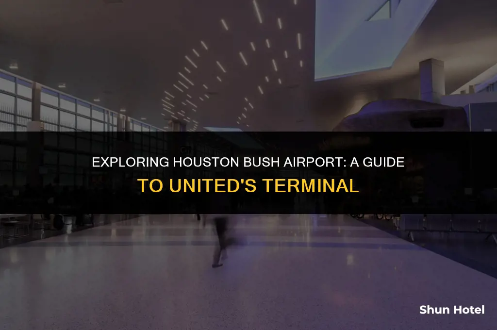 what terminal is united in houston bush airport