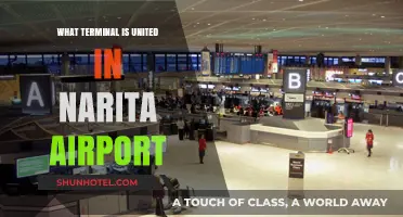 Exploring Narita Airport: A Guide to United Airlines' Terminal