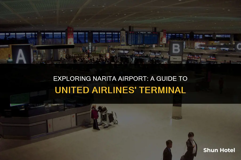 what terminal is united in narita airport