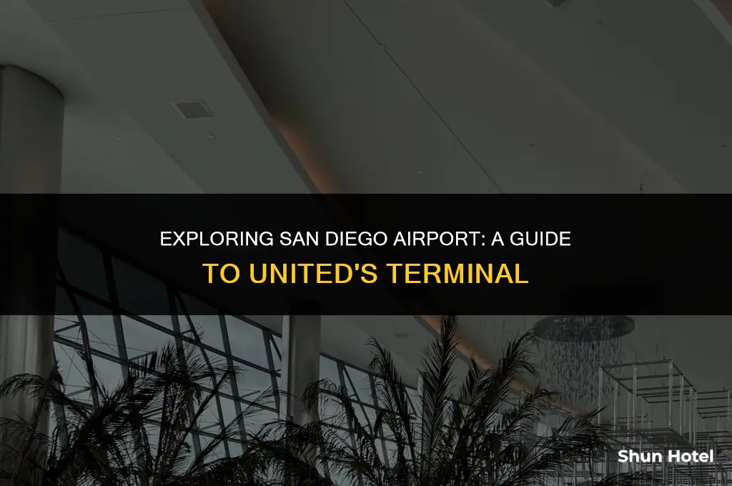 what terminal is united in san diego airport