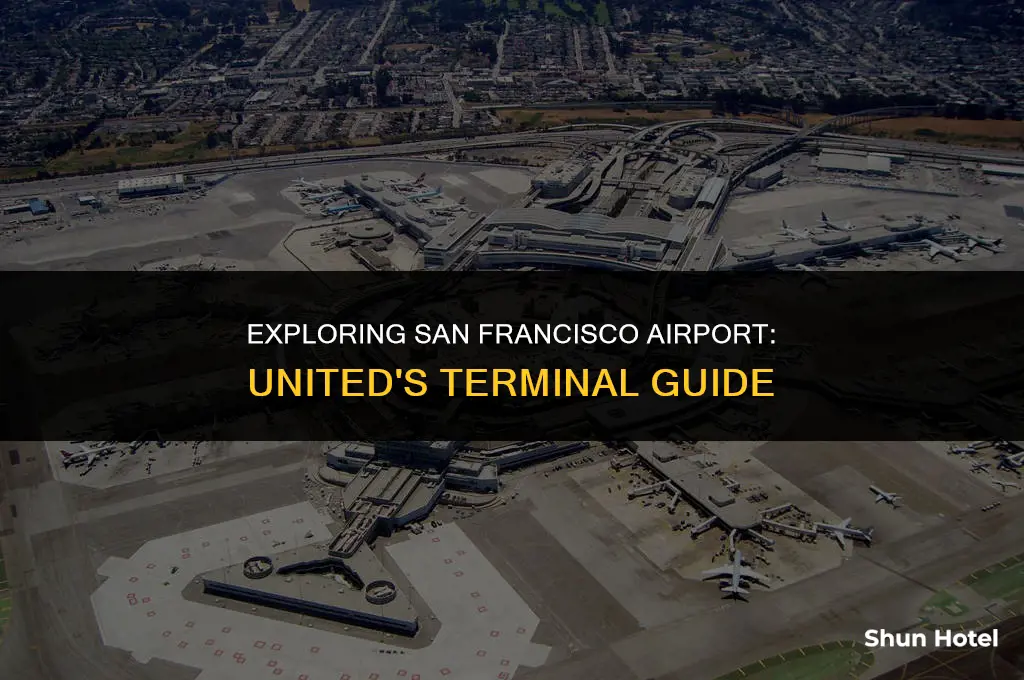 what terminal is united in sanfransico airport