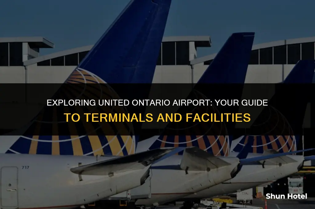 what terminal is united ontario airport