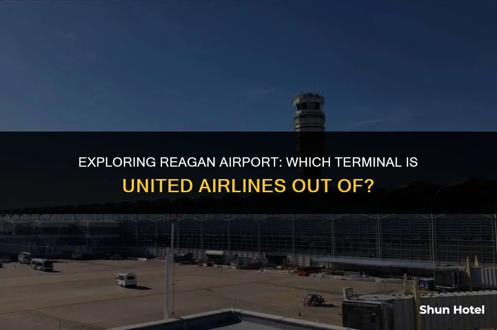 what terminal is united out of for reagan airport