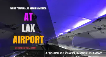 Virgin America's LAX Terminal: Your Complete Guide to Navigating the Airport