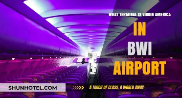 Exploring BWI: Virgin America's Terminal Guide
