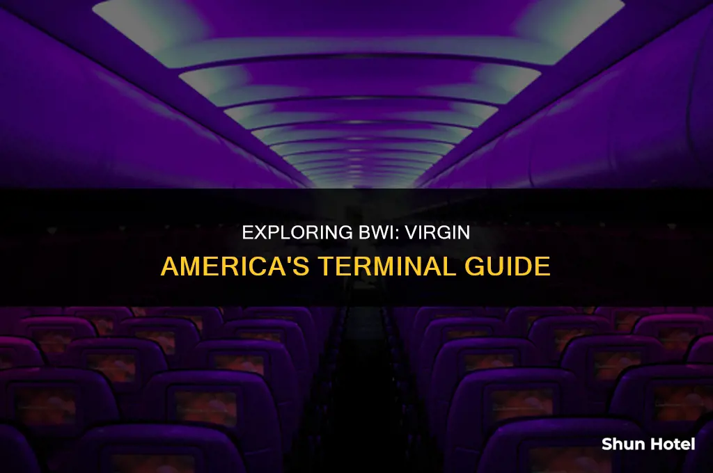 what terminal is virgin america in bwi airport