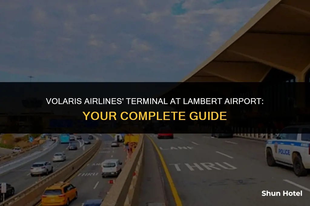 what terminal is volaris at lambert airport