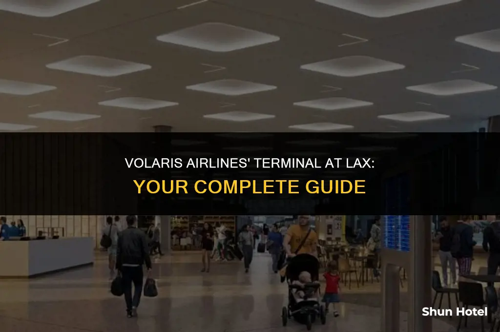 what terminal is volaris at lax airport