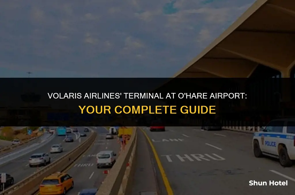 what terminal is volaris at o
