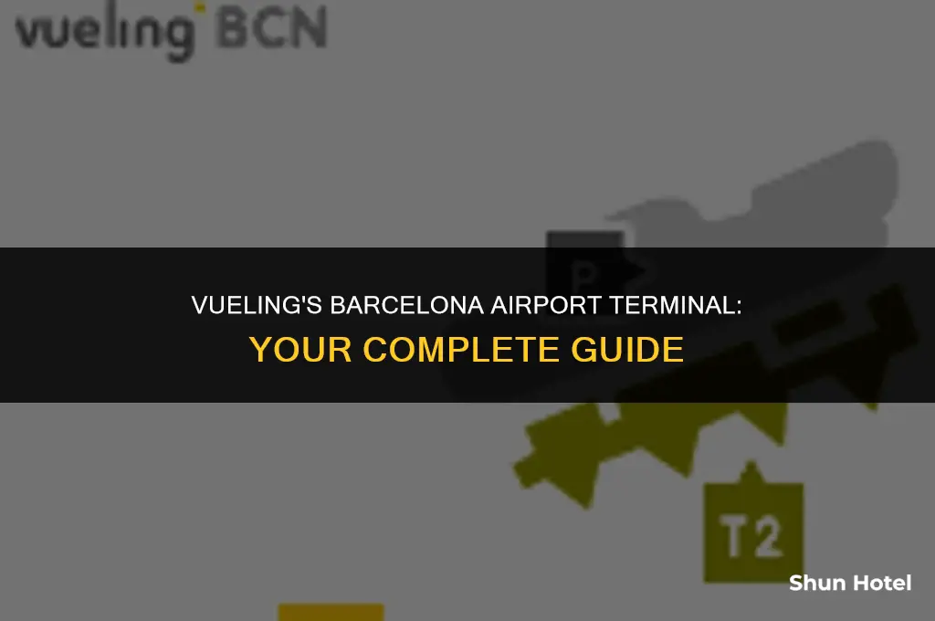what terminal is vueling at barcelona airport