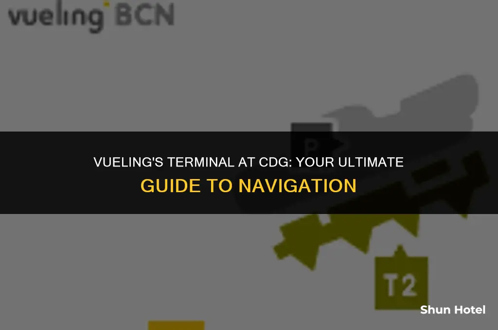 what terminal is vueling at cdg airport