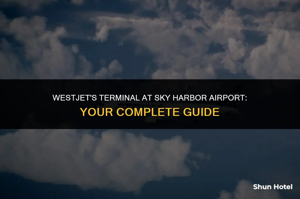 what terminal is west jet at in sky harbir airport