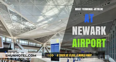 Exploring Terminal C: Your Guide to JetBlue at Newark Airport
