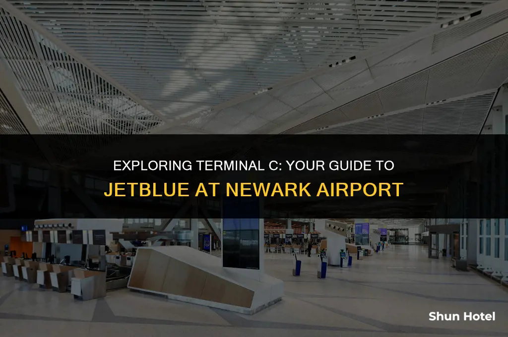 what terminal jetblue at newark airport