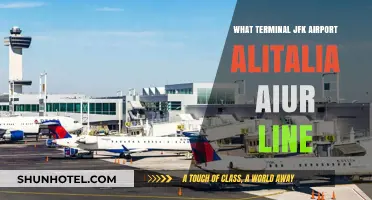 Exploring JFK Airport: Alitalia's Gateway to Italy and Beyond