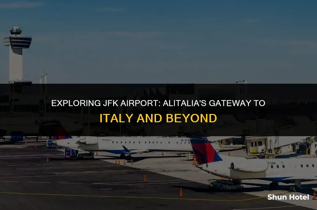 what terminal jfk airport alitalia aiur line