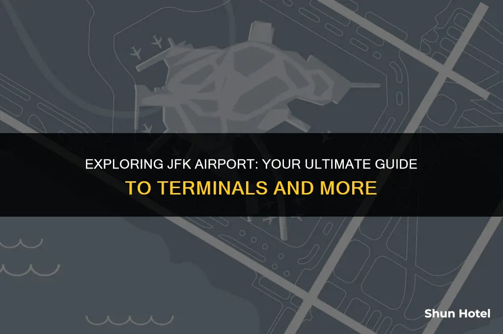 what terminal jfk airport