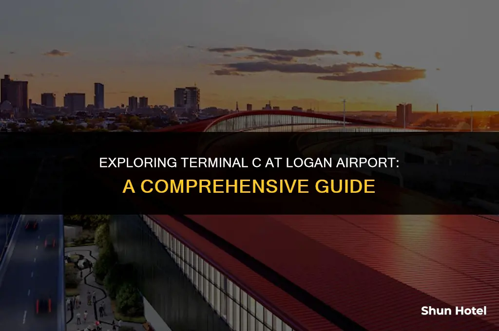 what terminal logan airport