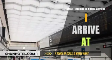 Which Terminal Will I Arrive At in Narita Airport?