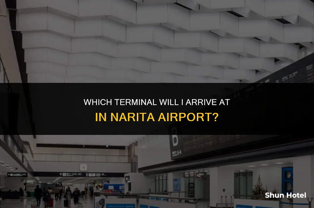 what terminal of narita airport i arrive at