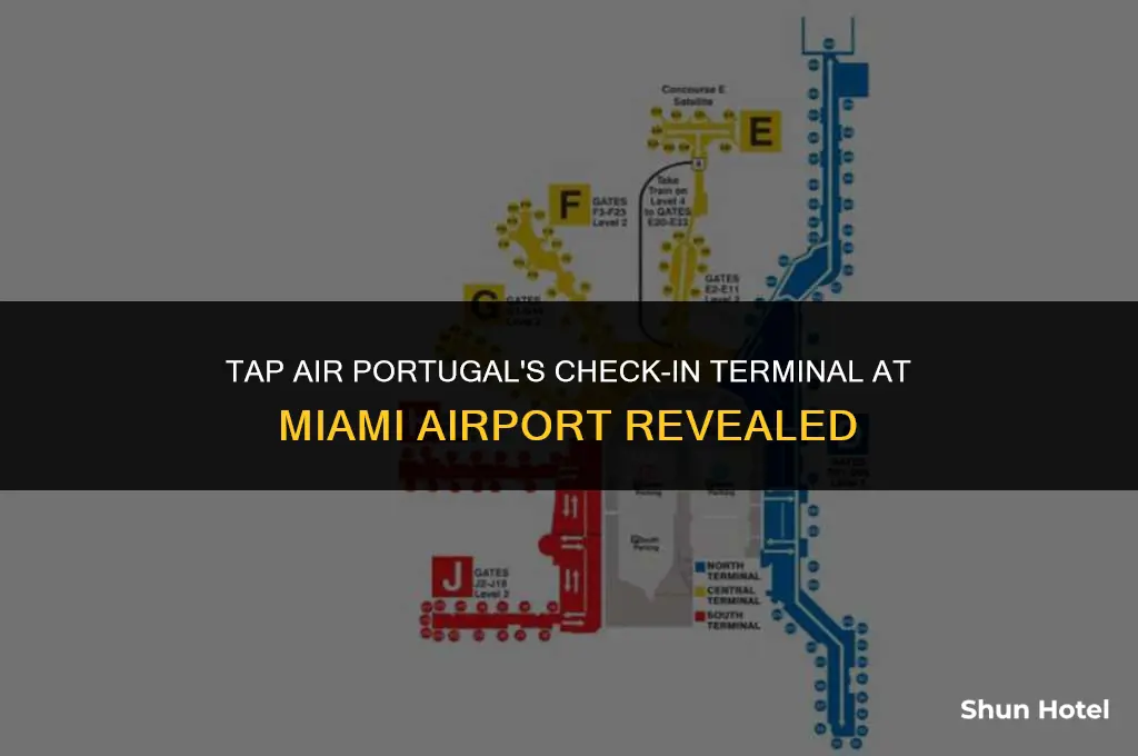 what terminal pdoes tap air check in at miami airport