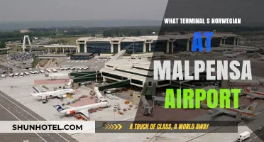 Exploring Malpensa: A Guide to Norwegian's Terminal
