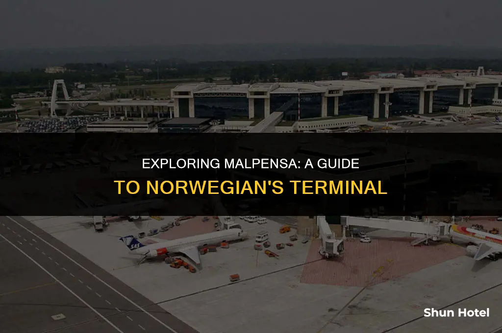 what terminal s norwegian at malpensa airport