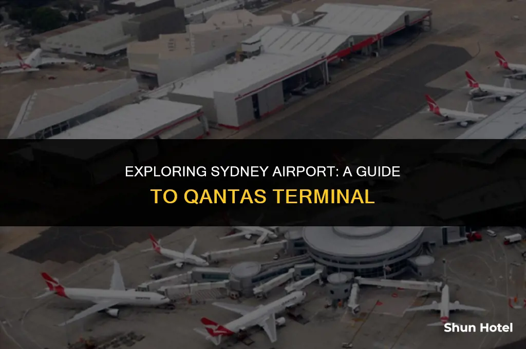 what terminal sydney airport quantas