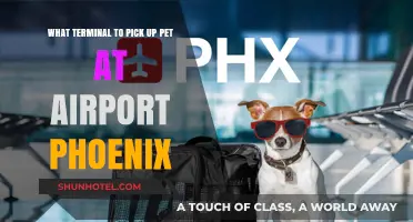 Navigating Phoenix Airport: Your Guide to Pet-Friendly Terminals