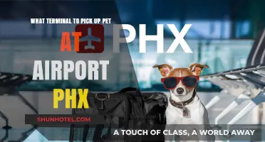 Navigating Phoenix Airport: Your Guide to Pet Pick-Up Terminals