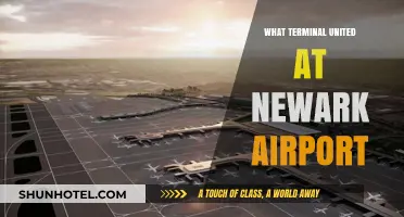 Exploring Newark Airport: A Guide to Terminal Connections