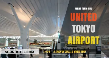 Which Terminal at Tokyo Airport: A Comprehensive Guide