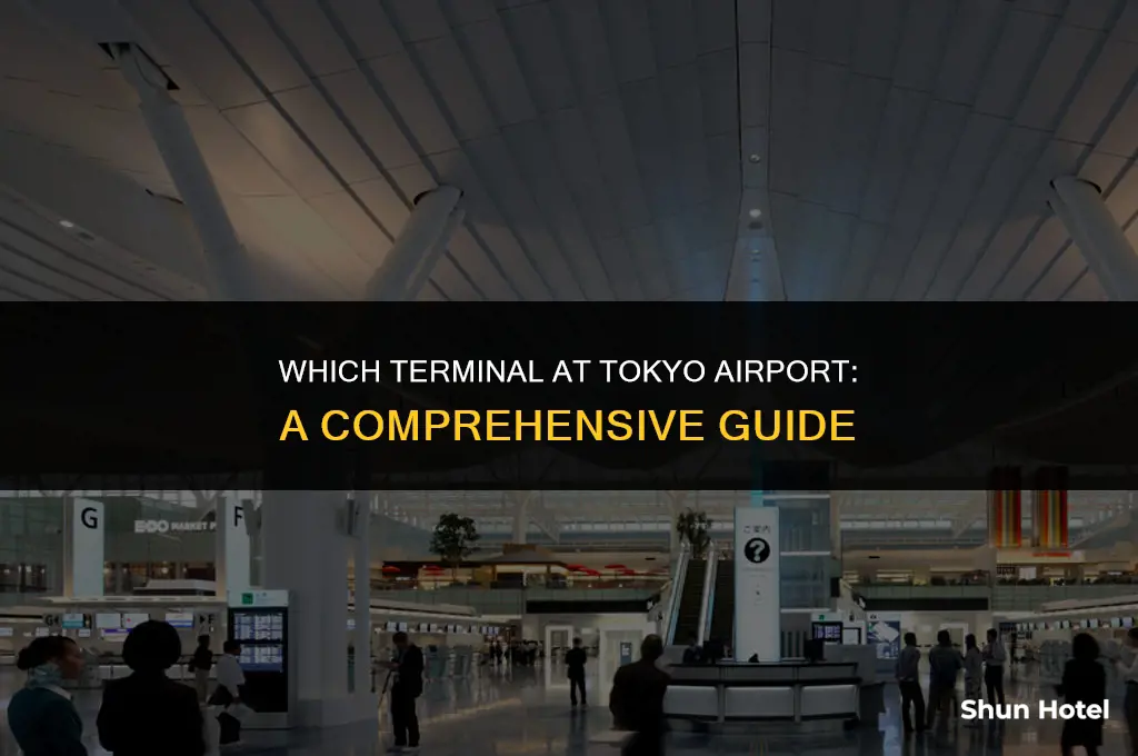what terminal united tokyo airport