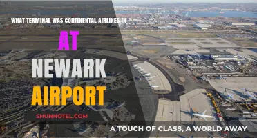 Exploring Newark Airport: Continental Airlines' Terminal Unveiled