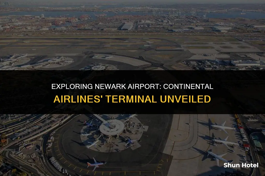 what terminal was continental airlines in at newark airport