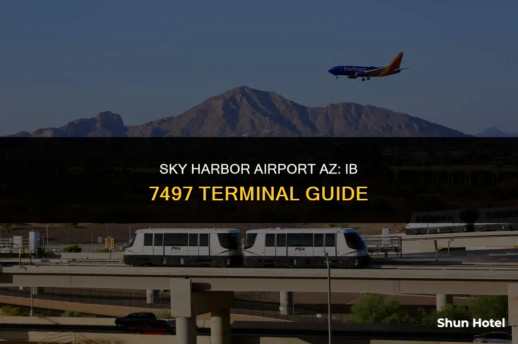 what terminal will ib 7497 at sky harbor airport az