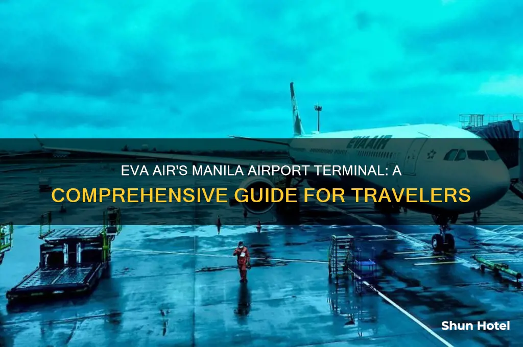 what terminal would eva air fly into at manila airport