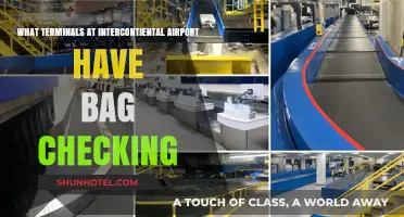 Efficient Baggage Handling: A Guide to Intercontinental Airport Terminals