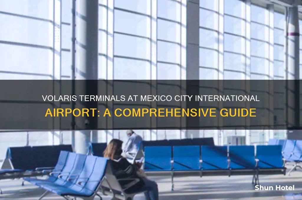 what terminals douse volaries uses in mexico city international airport