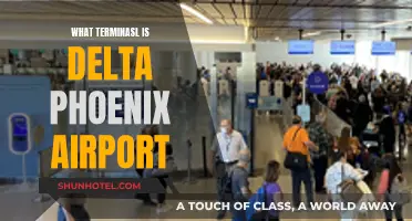 Delta's Phoenix Airport Terminal: A Comprehensive Guide
