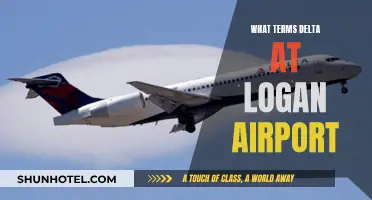 Understanding Delta's Unique Lingo at Boston Logan Airport