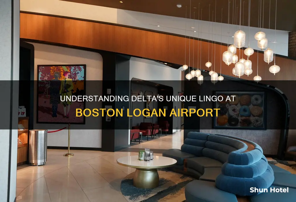 what terms delta at logan airport