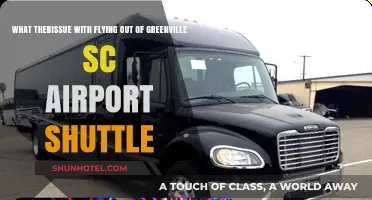 Greenville SC Airport Shuttle: Common Issues and How to Navigate Them