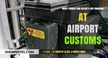 Customs X-Ray Imaging: What Can Block the View?