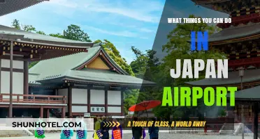 Explore Japan's Airports: Activities and Attractions