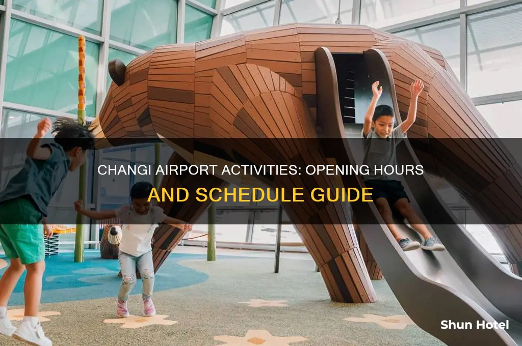 what time are the changi airport activities open