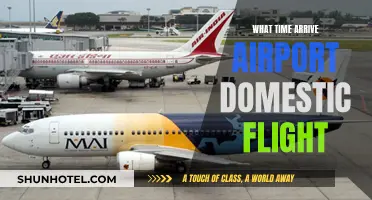 Arriving Early: Domestic Flight Airport Timing